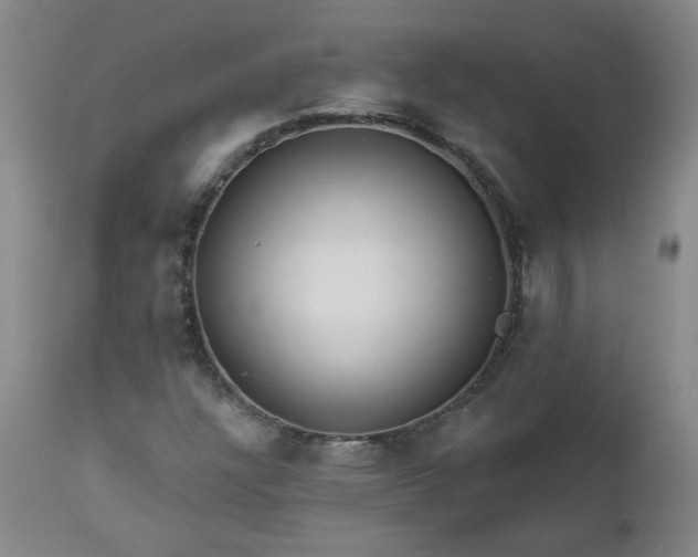 X0000112461304200908241248