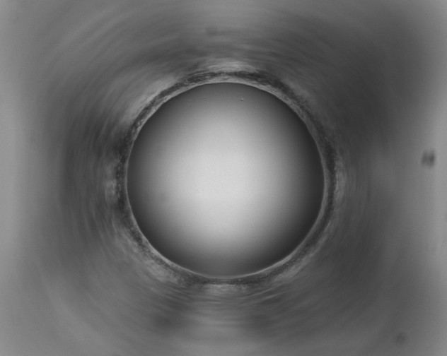 X0000112461305200908241248