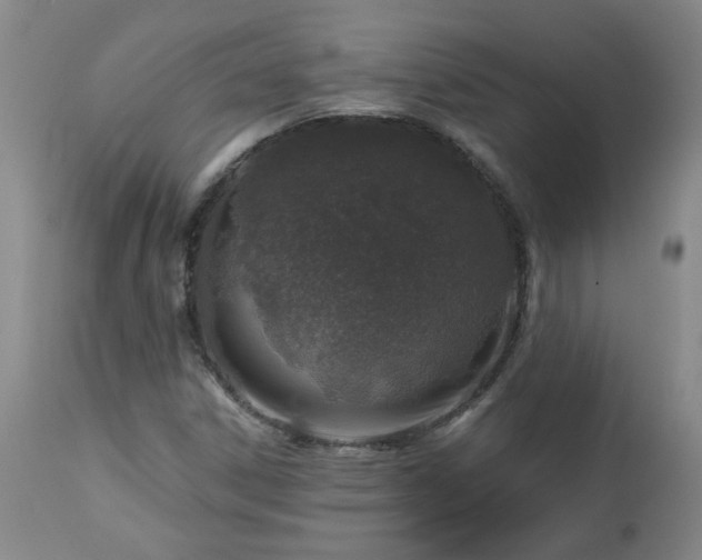 X0000112461306200908241248