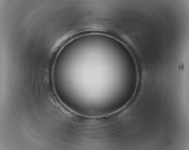 X0000112461307200908241248