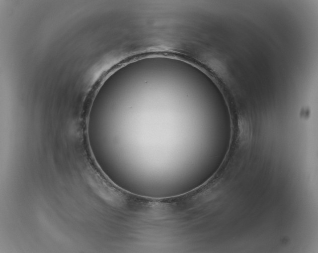 X0000112461308200908241248