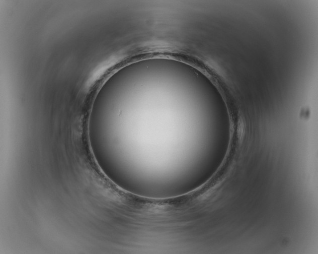 X0000112461309200908241248