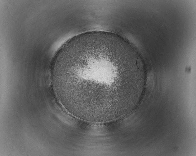 X0000112461310200908241248