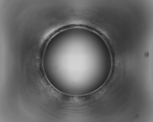 X0000112461311200908241248