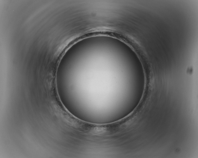 X0000112461313200908241248