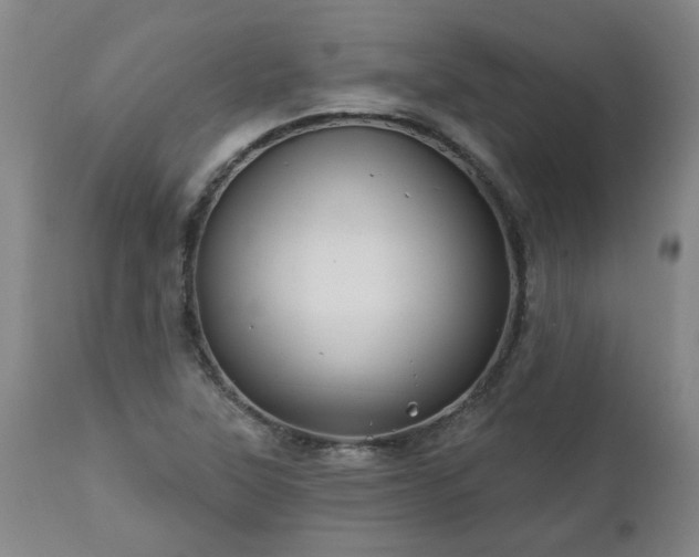 X0000112461315200908241248