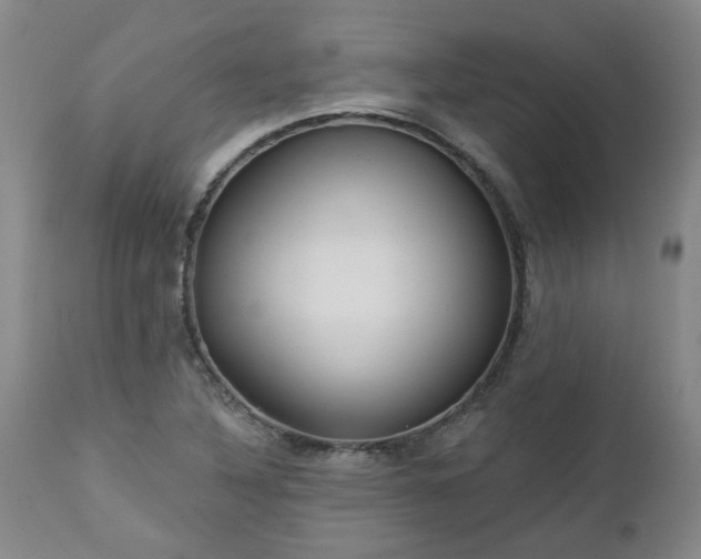 X0000112461316200908241248