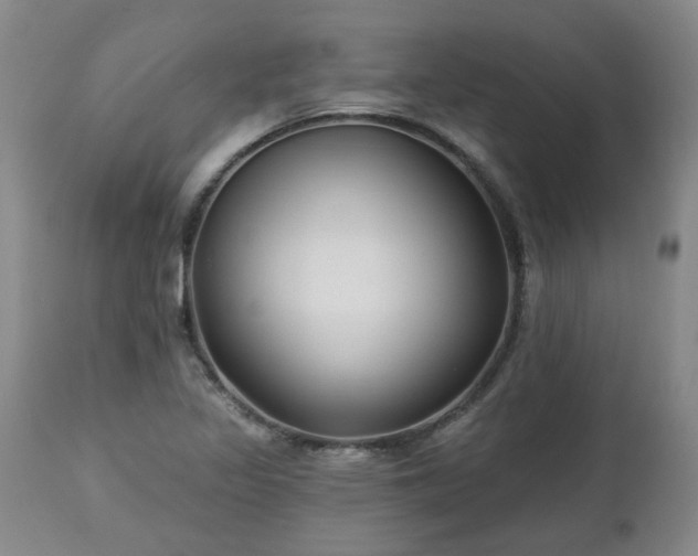 X0000112461317200908241248