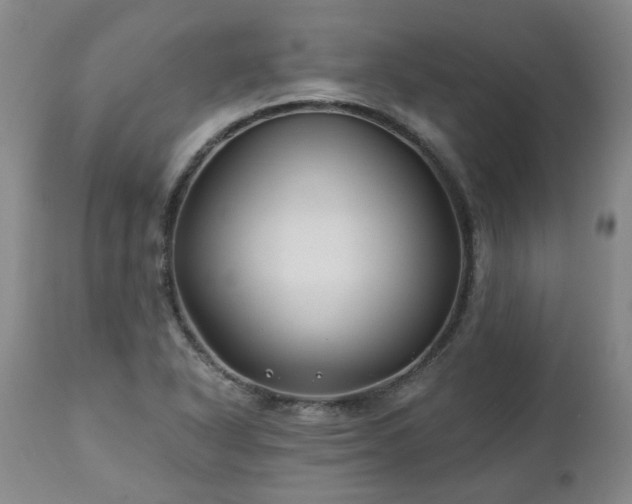 X0000112461318200908241248