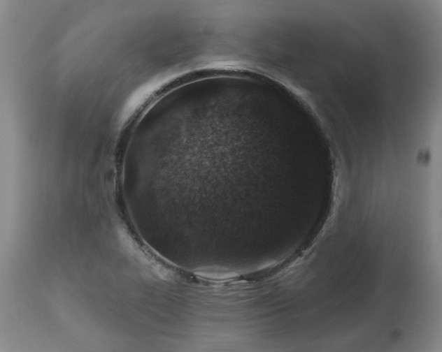 X0000112461319200908241248