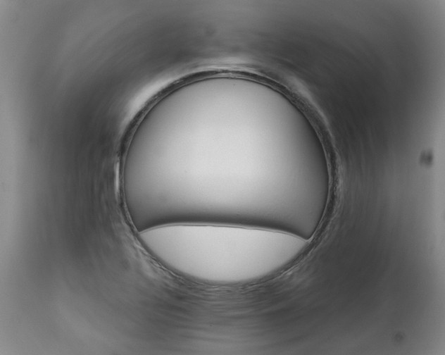 X0000112461320200908241248