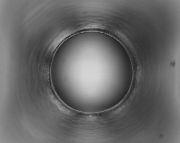 X0000112461321200908241248