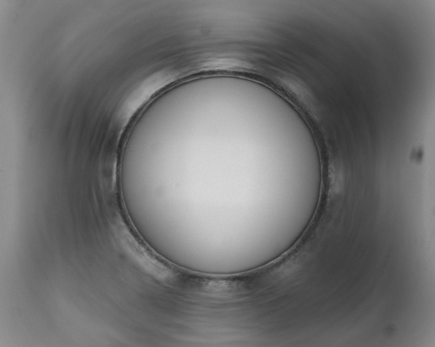 X0000112461322200908241248