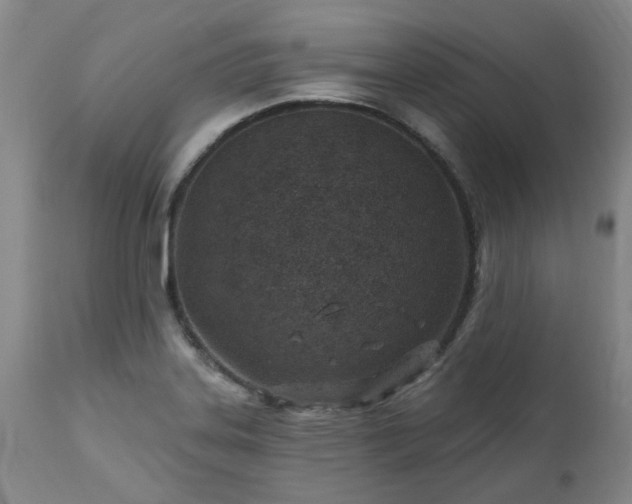 X0000112461323200908241248