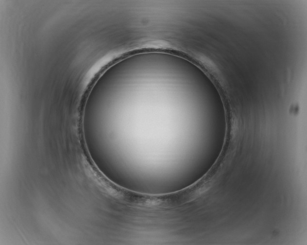 X0000112461326200908241248