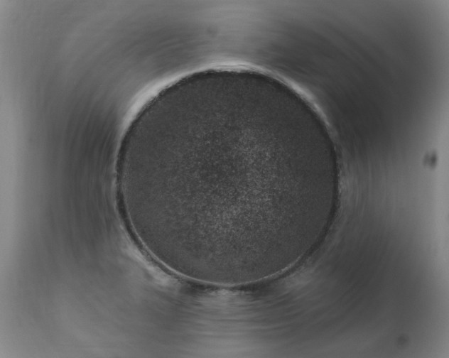 X0000112461327200908241248