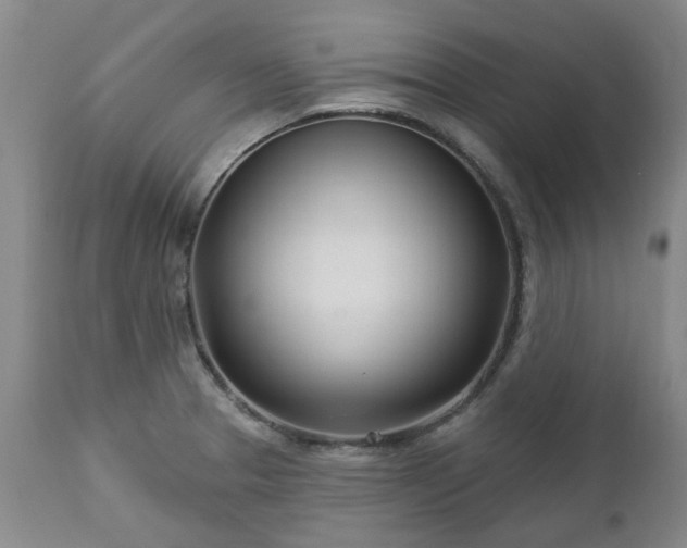 X0000112461329200908241248