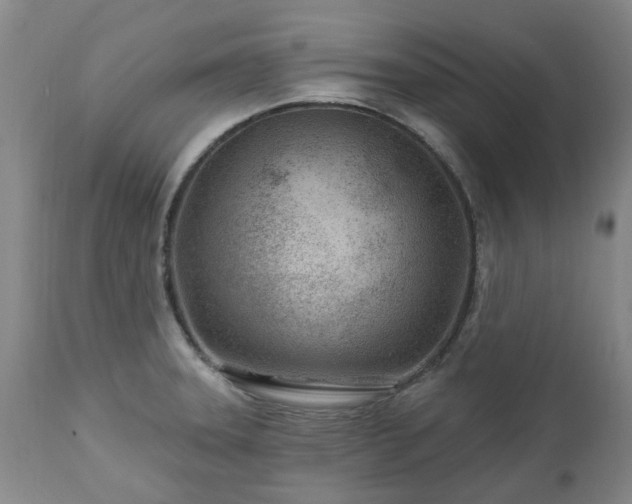 X0000112461331200908241248