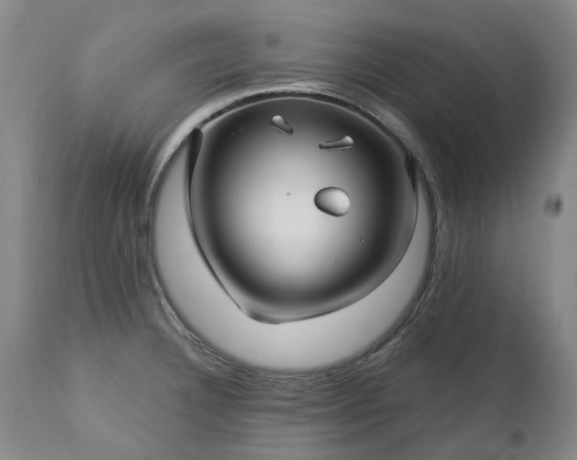 X0000112461332200908241248