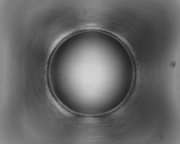 X0000112461333200908241249