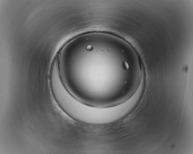 X0000112461334200908241249