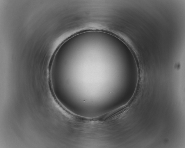 X0000112461335200908241249