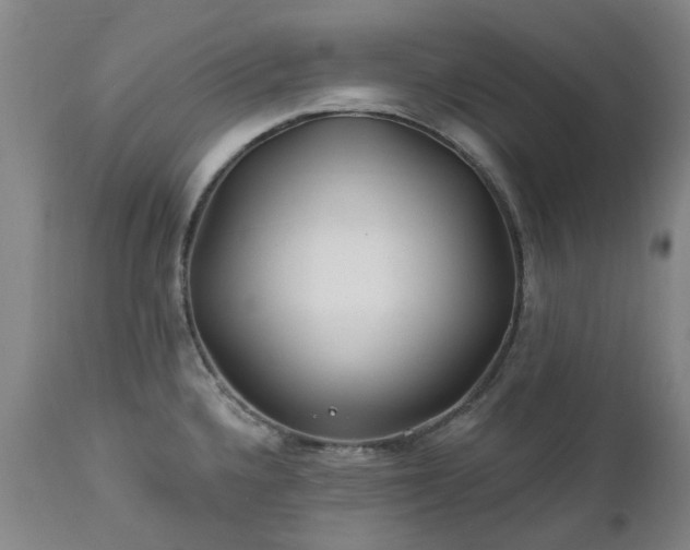 X0000112461336200908241249