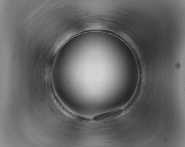 X0000112461337200908241249