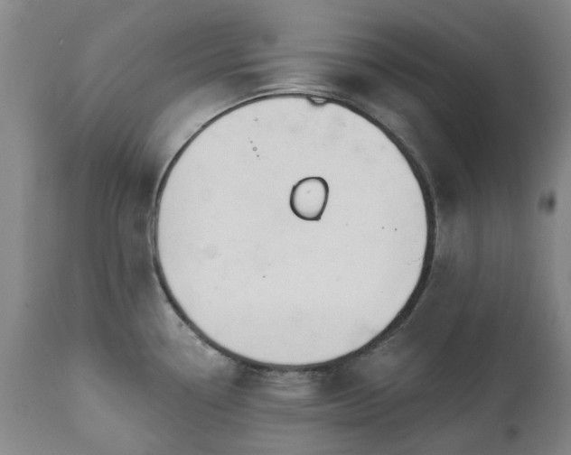 X0000112461338200908241249