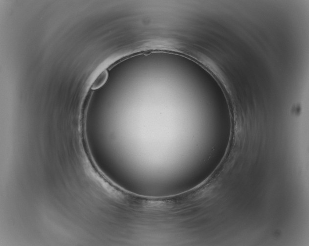 X0000112461339200908241249