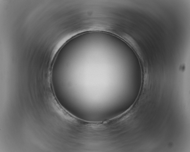 X0000112461340200908241249