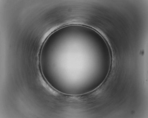 X0000112461341200908241249