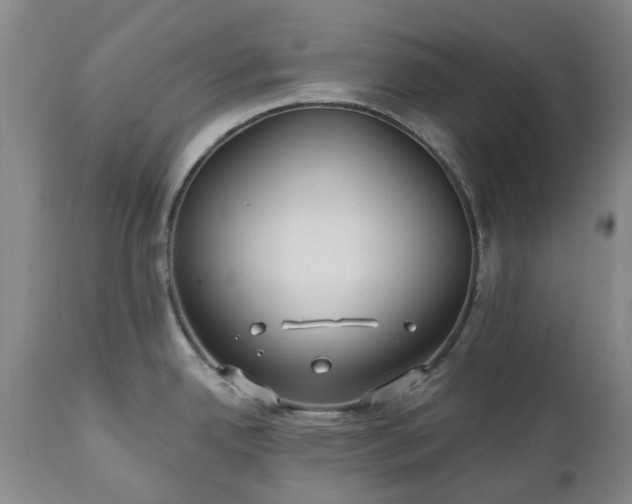 X0000112461342200908241249