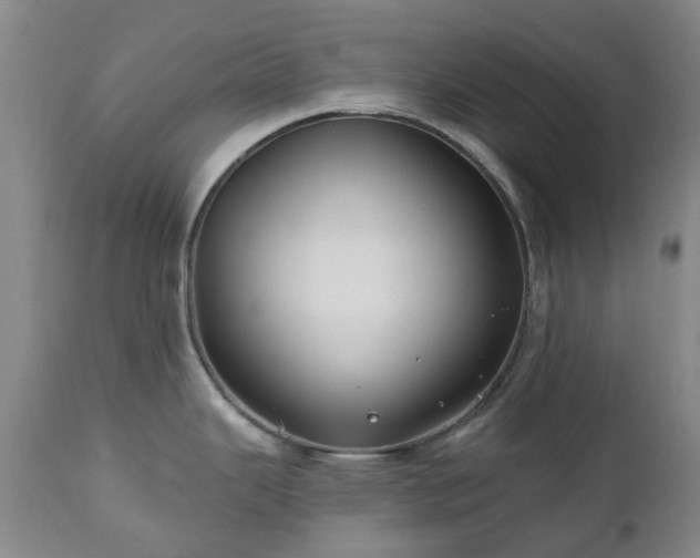 X0000112461343200908241249