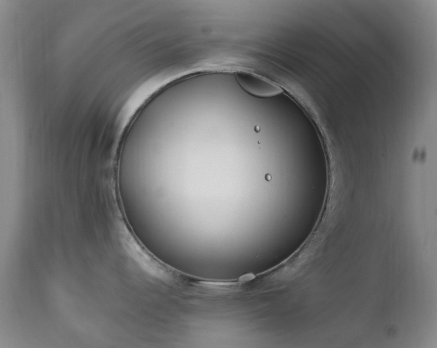 X0000112461344200908241249