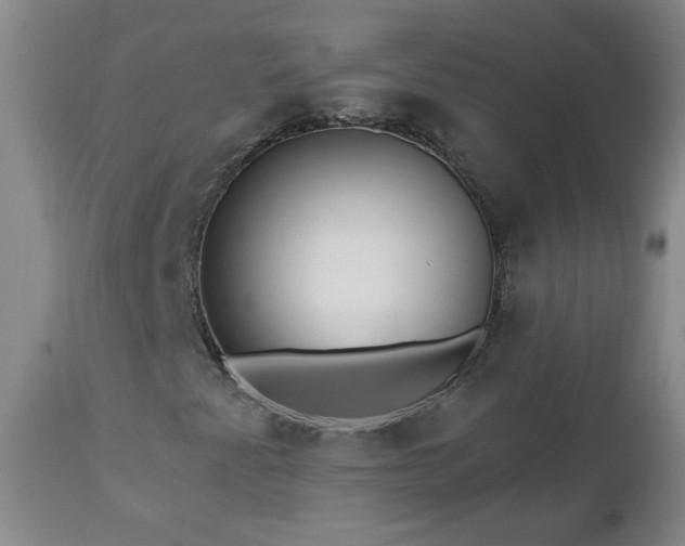 X0000112461345200908241248