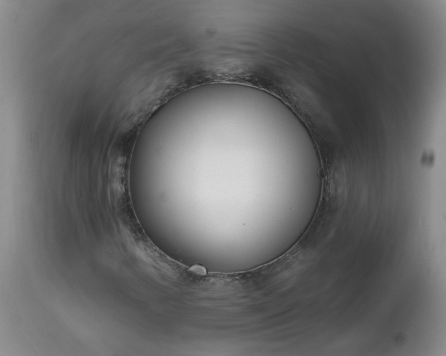 X0000112461346200908241248