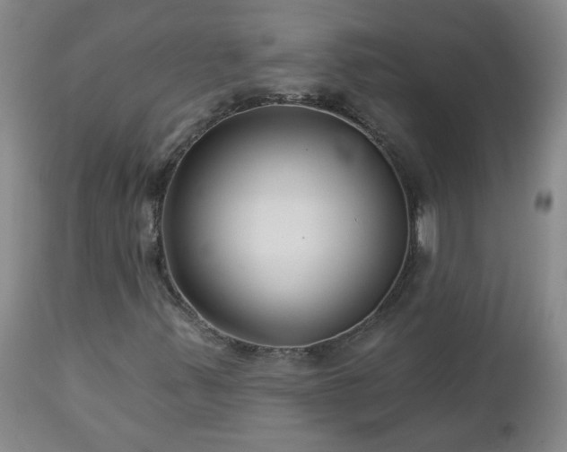 X0000112461347200908241248