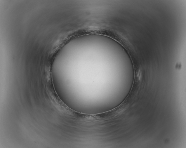 X0000112461348200908241248