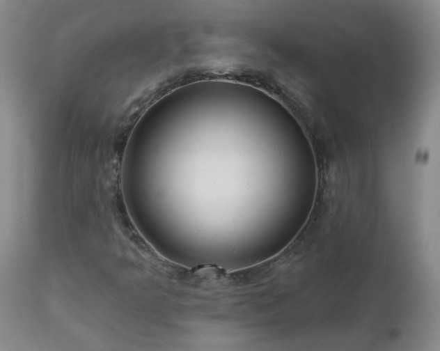 X0000112461349200908241248