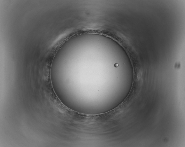 X0000112461350200908241248