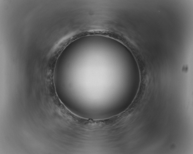 X0000112461351200908241248