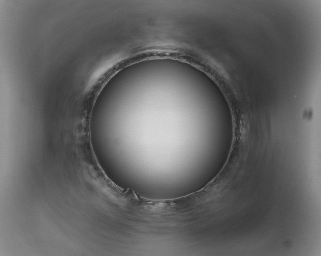 X0000112461352200908241248