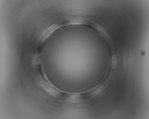 X0000112461353200908241248