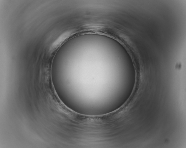 X0000112461354200908241248