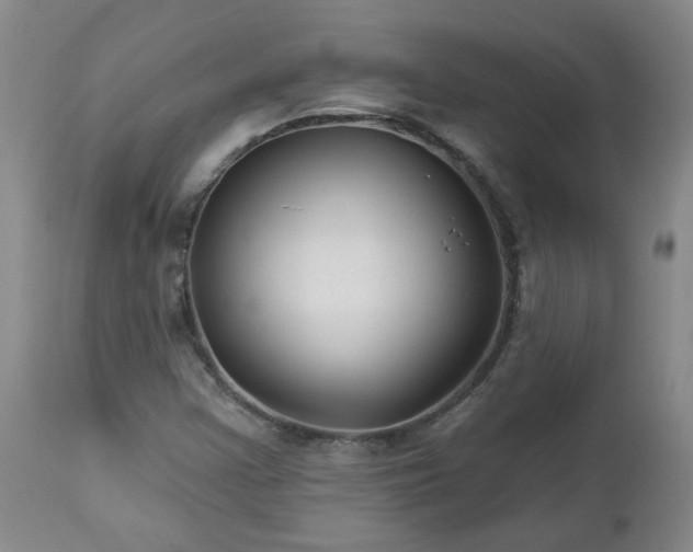 X0000112461355200908241248