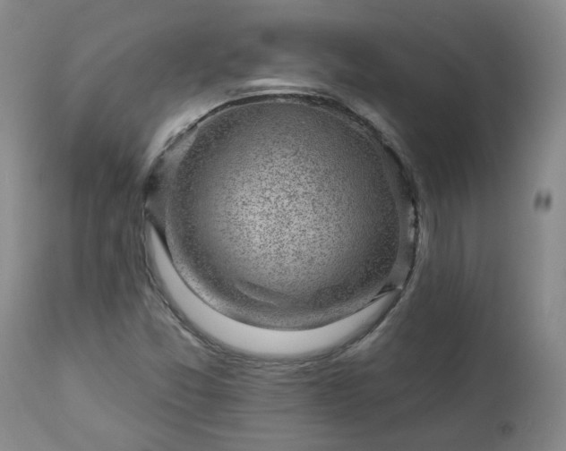 X0000112461357200908241248