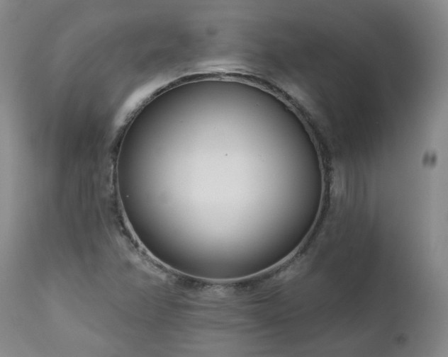 X0000112461358200908241248