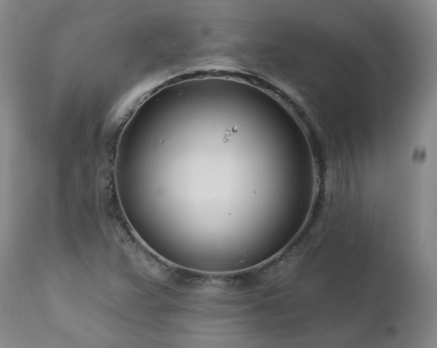 X0000112461359200908241248