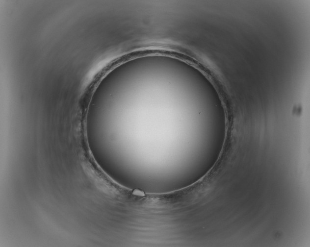 X0000112461360200908241248